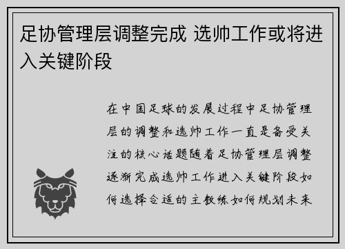 足协管理层调整完成 选帅工作或将进入关键阶段